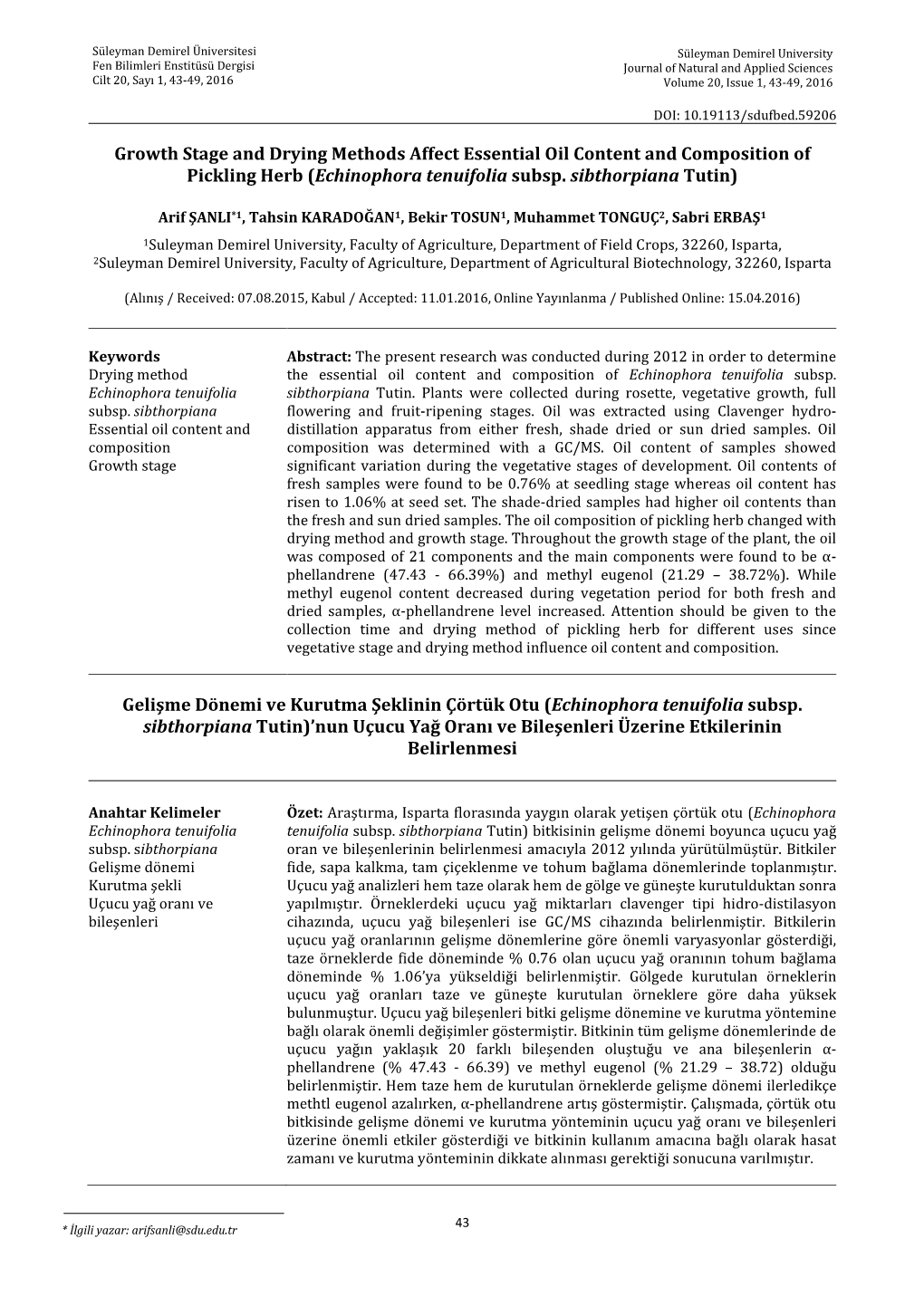 Growth Stage and Drying Methods Affect Essential Oil Content and Composition of Pickling Herb ( Subsp