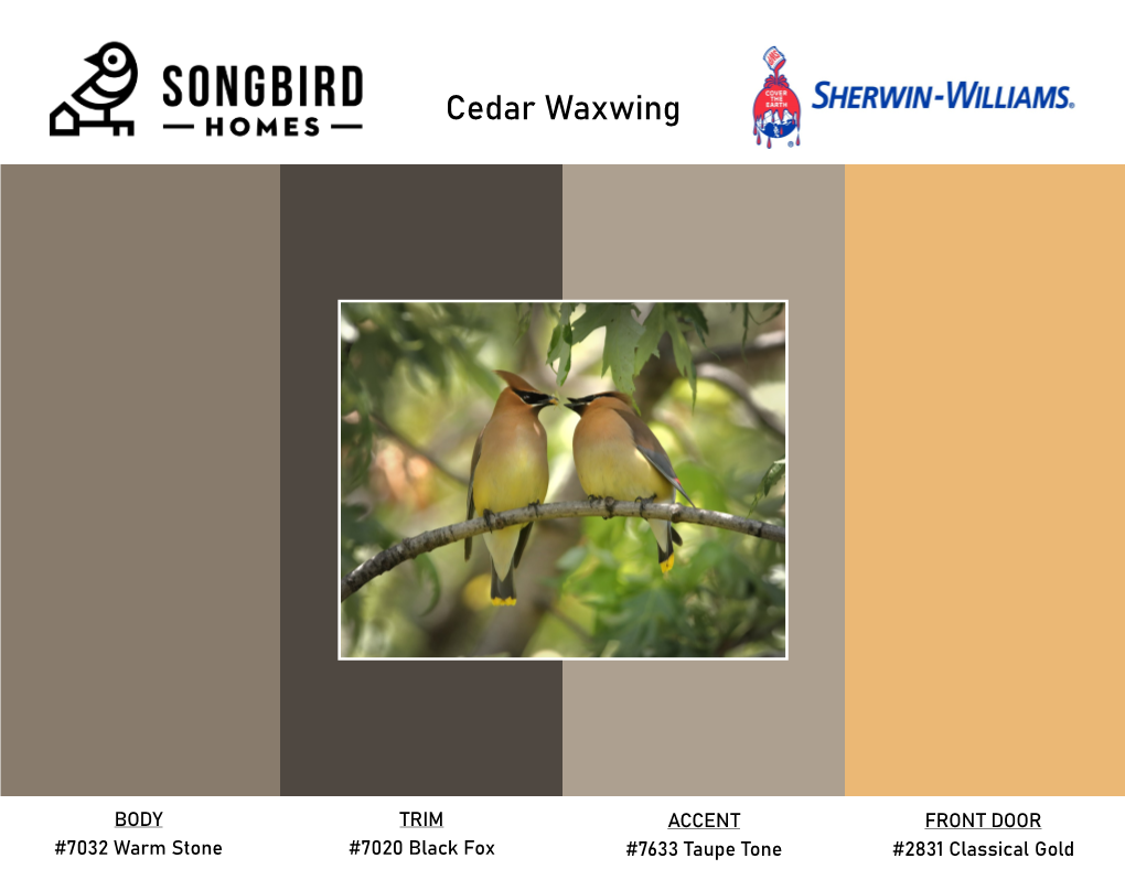 Cedar Waxwing