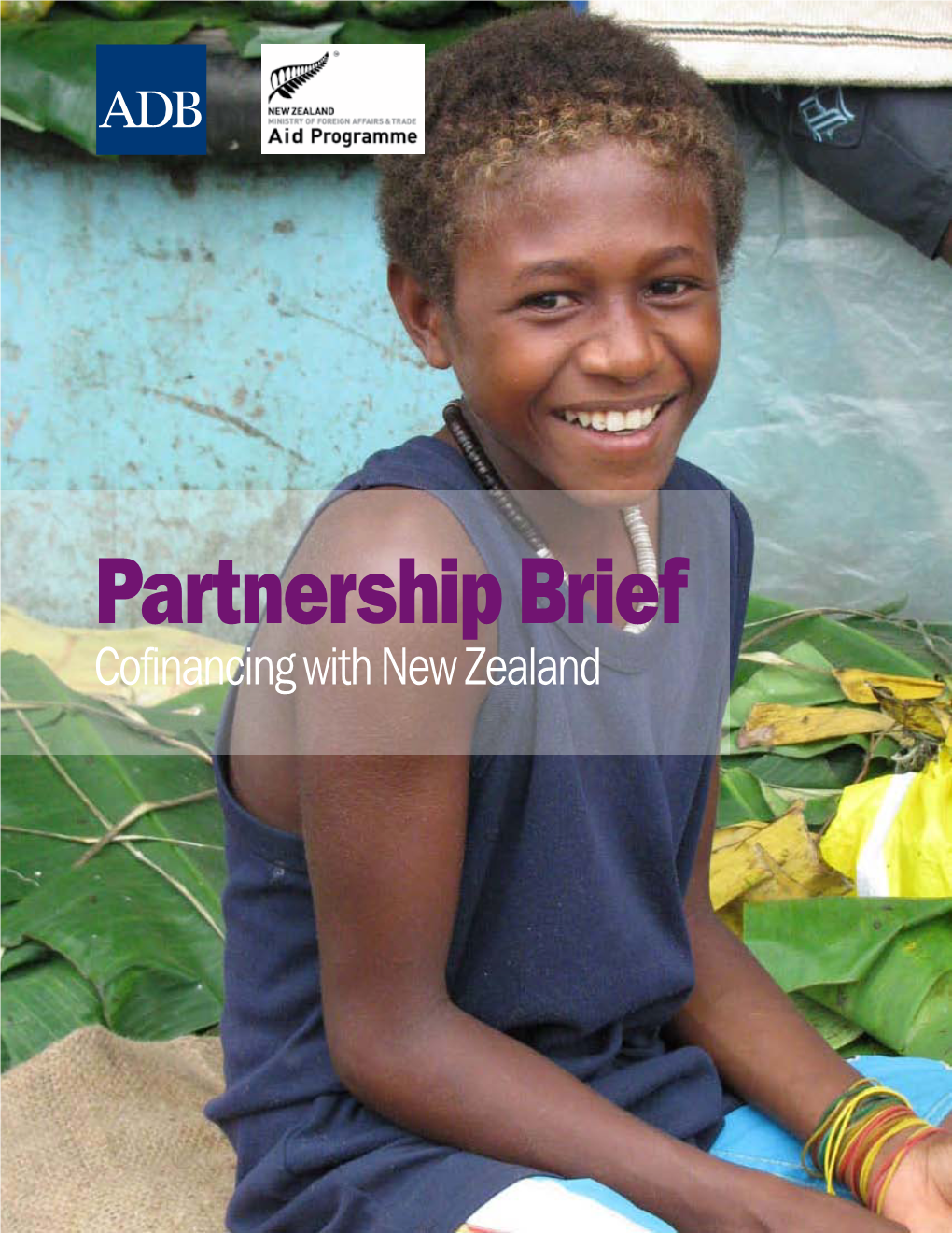 Partnership Brief Cofinancing with New Zealand 2 3 Contents