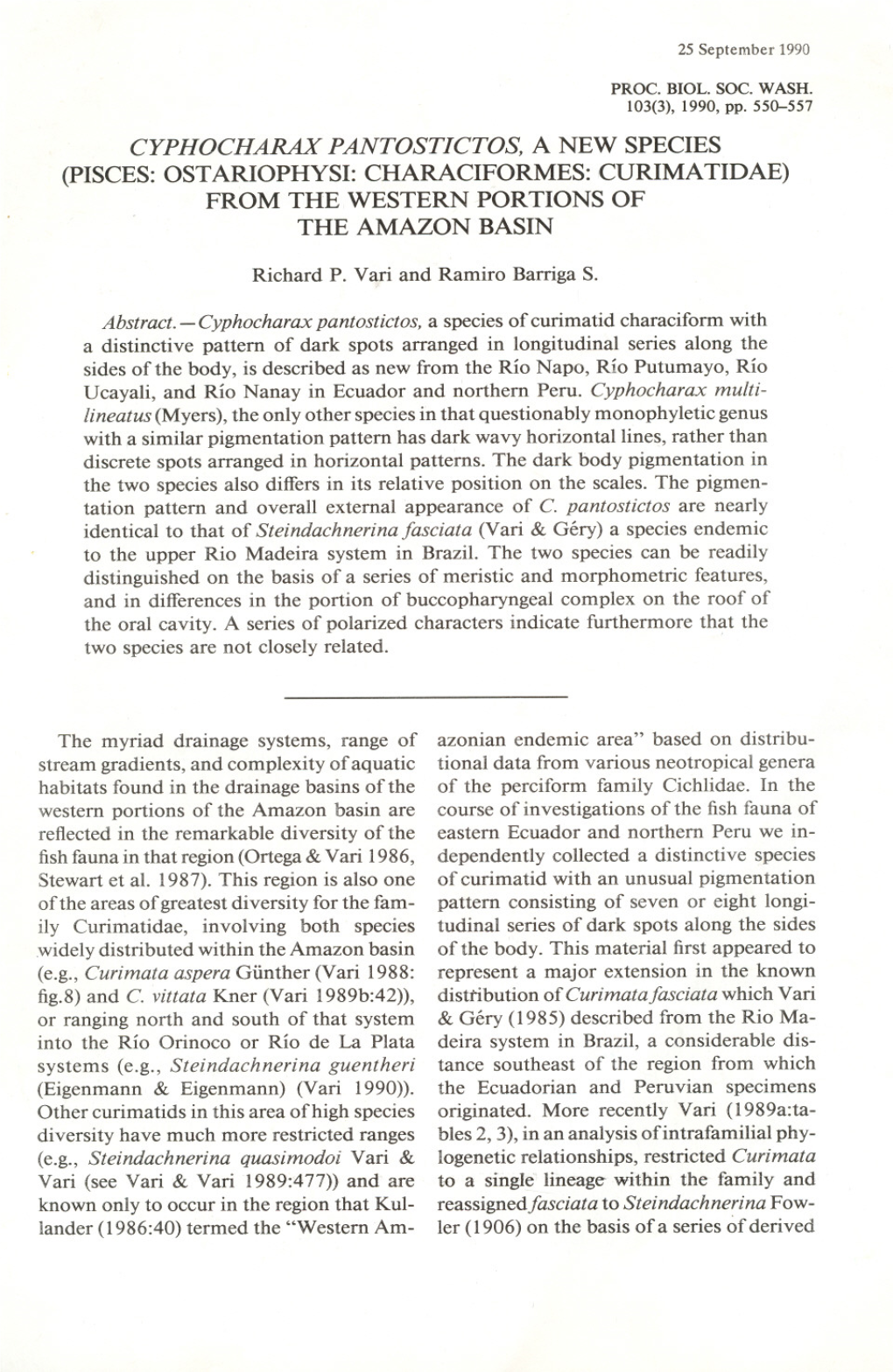 Cyphocharax Pantostictos, a New Species (Pisces: Ost Ariophysi: Characiformes: Curima Tidae) from the Western Por Tions of the Amazon Basin