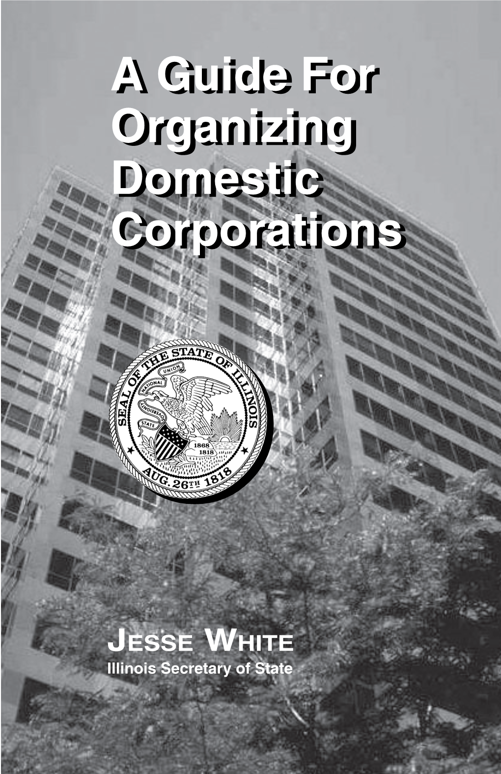 A Guide for Organizing Domestic Corporations