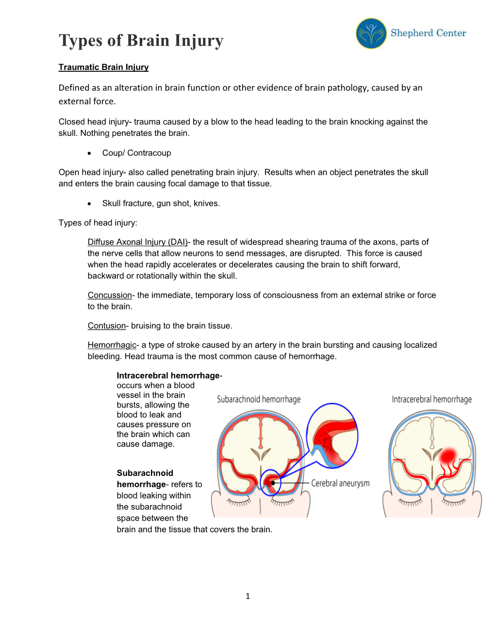 Types of Brain Injury