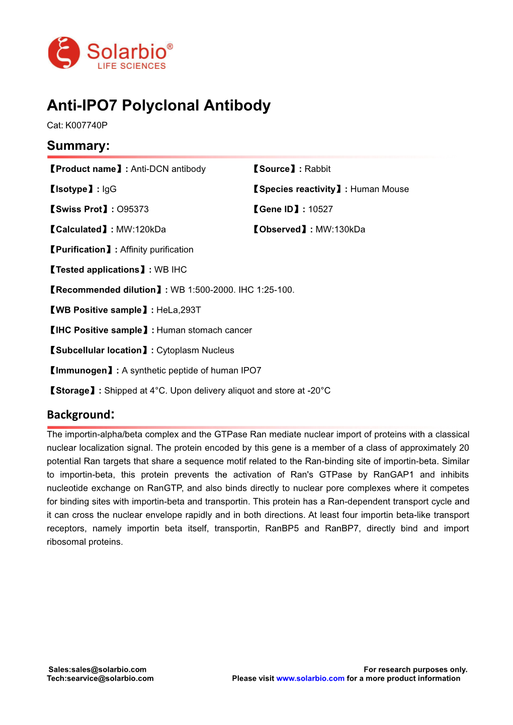Anti-IPO7 Polyclonal Antibody Cat: K007740P Summary