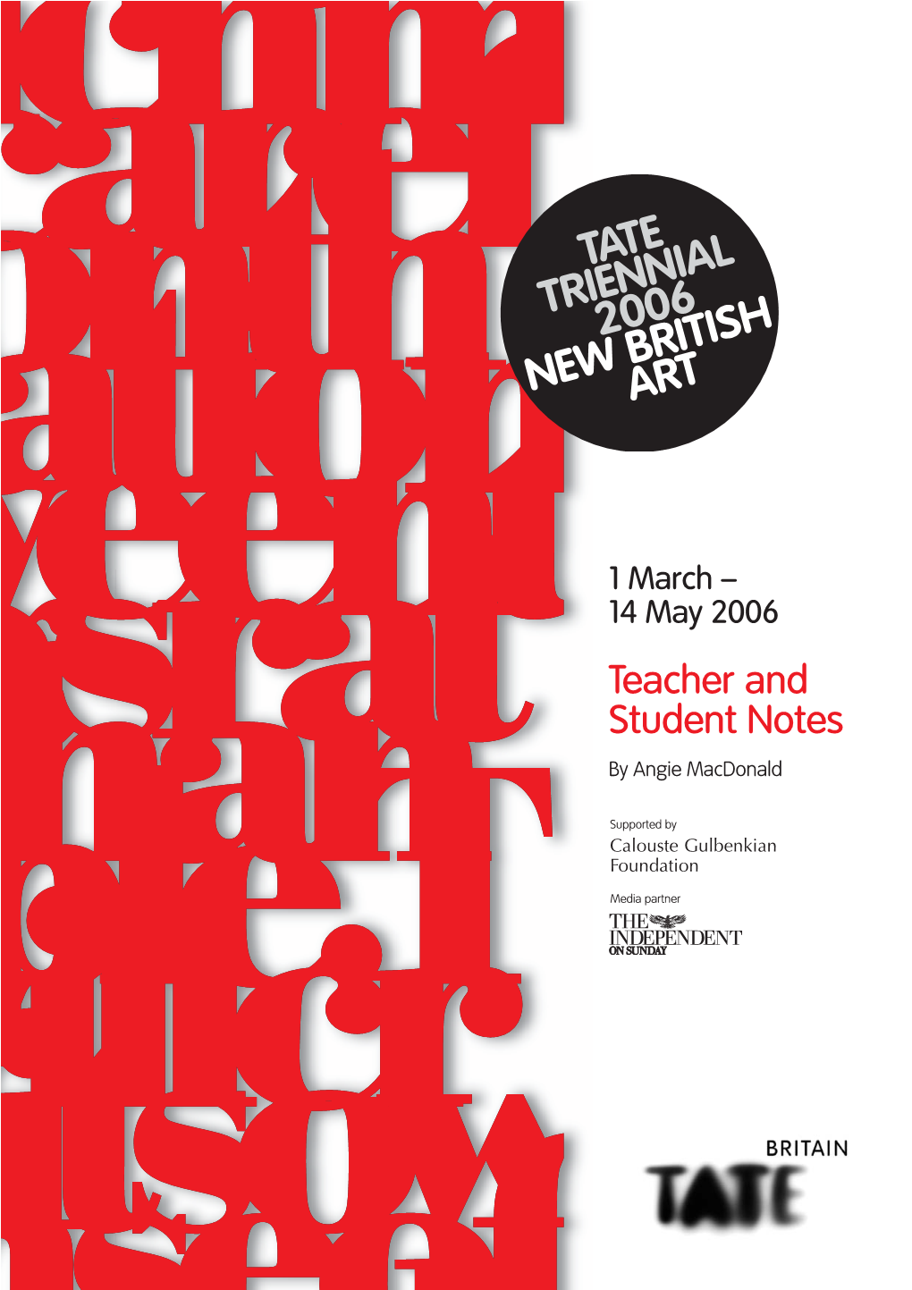 Tate Triennial 2006 New Britishart