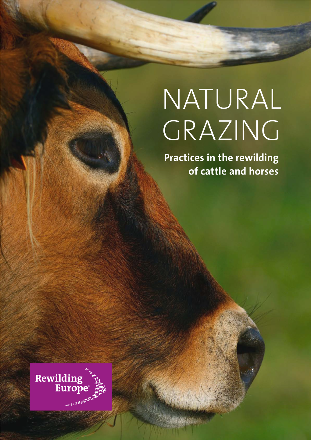 NATURAL GRAZING Practices in the Rewilding of Cattle and Horses Text Roeland Vermeulen / FREE Nature