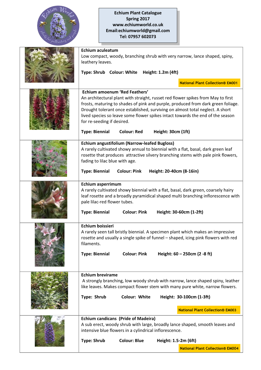 Echium Plant Catalogue Spring 2017 Email:Echiumworld@Gmail.Com Tel: 07957 602073