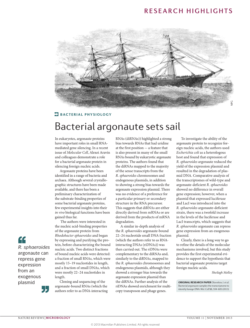 Bacterial Argonaute Sets Sail