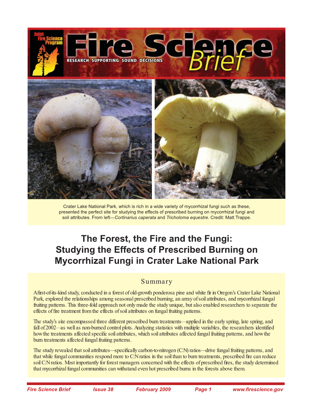 Studying the Effects of Prescribed Burning on Mycorrhizal Fungi and Soil Attributes