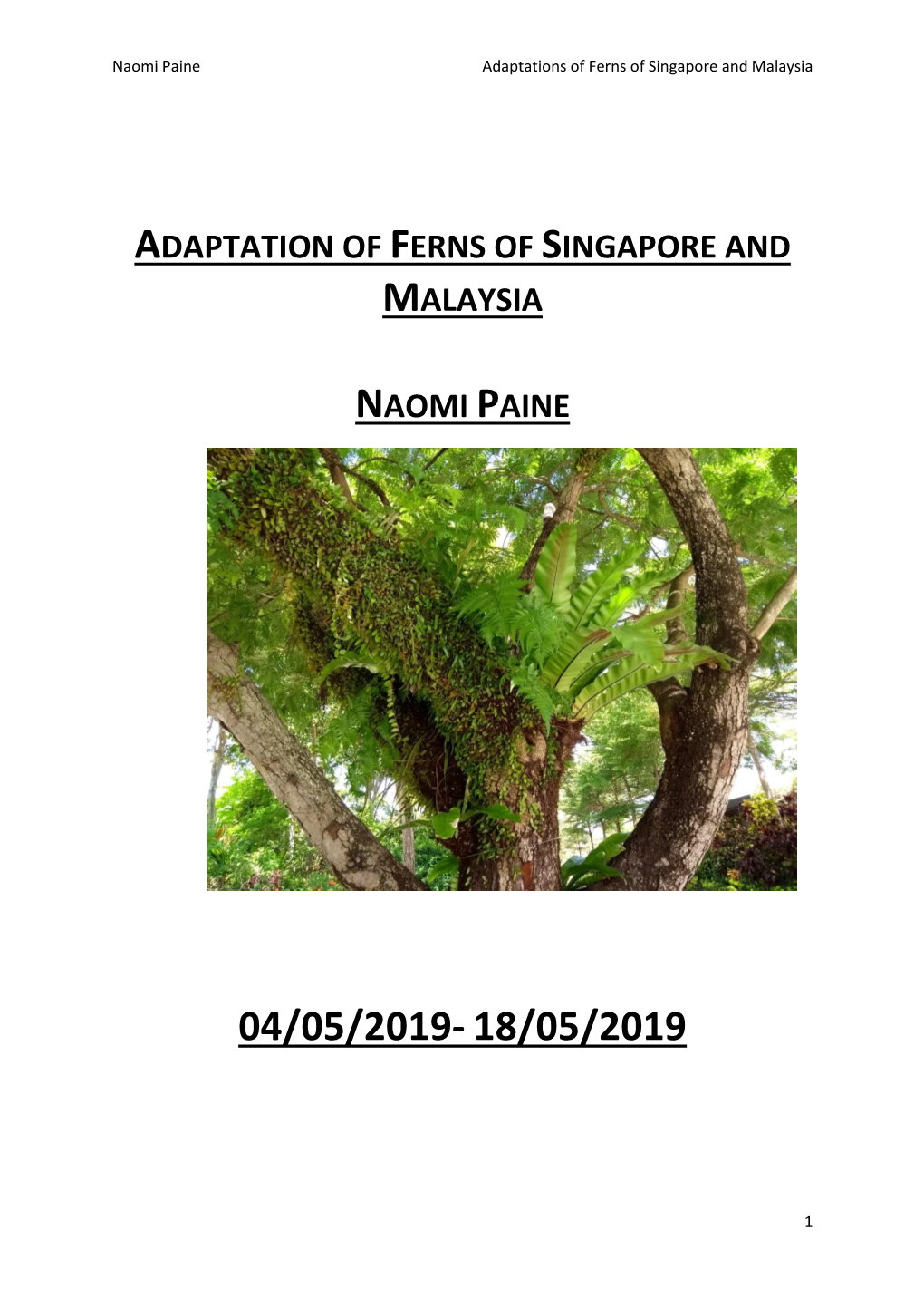 Adaptation of Ferns of Singapore and Malaysia