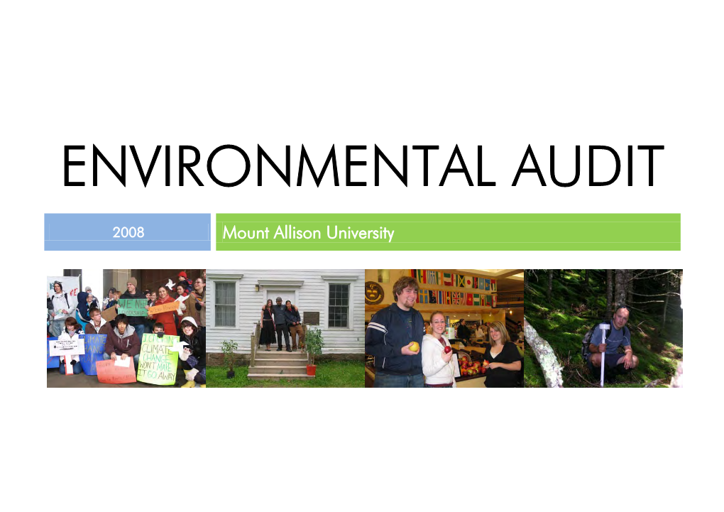 Environmental Audit