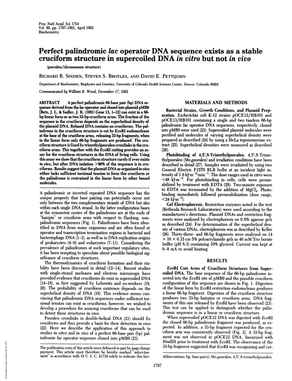 Perfect Palindromic Lac Operator DNA Sequence Exists As a Stable