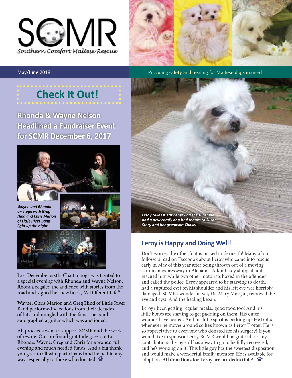 May/June 2018 Providing Safety and Healing for Maltese Dogs in Need