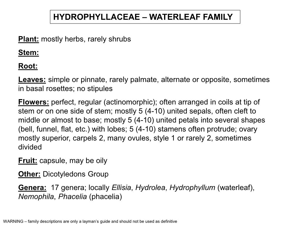 Hydrophyllaceae – Waterleaf Family