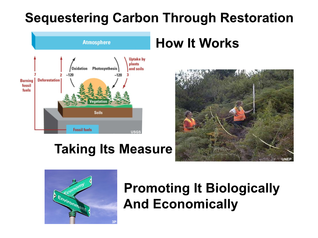 A Role for Restoration in Climate Change Mitigation