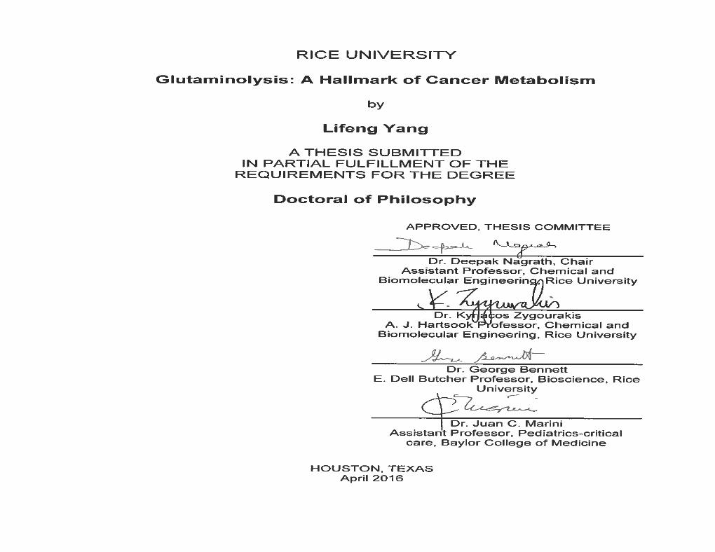 Glutaminolysis: a Hallmark of Cancer Metabolism by Lifeng Yang