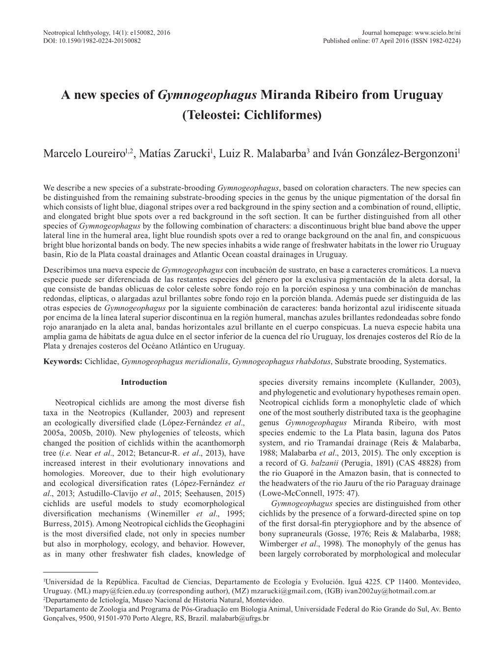 A New Species of Gymnogeophagus Miranda Ribeiro from Uruguay (Teleostei: Cichliformes)