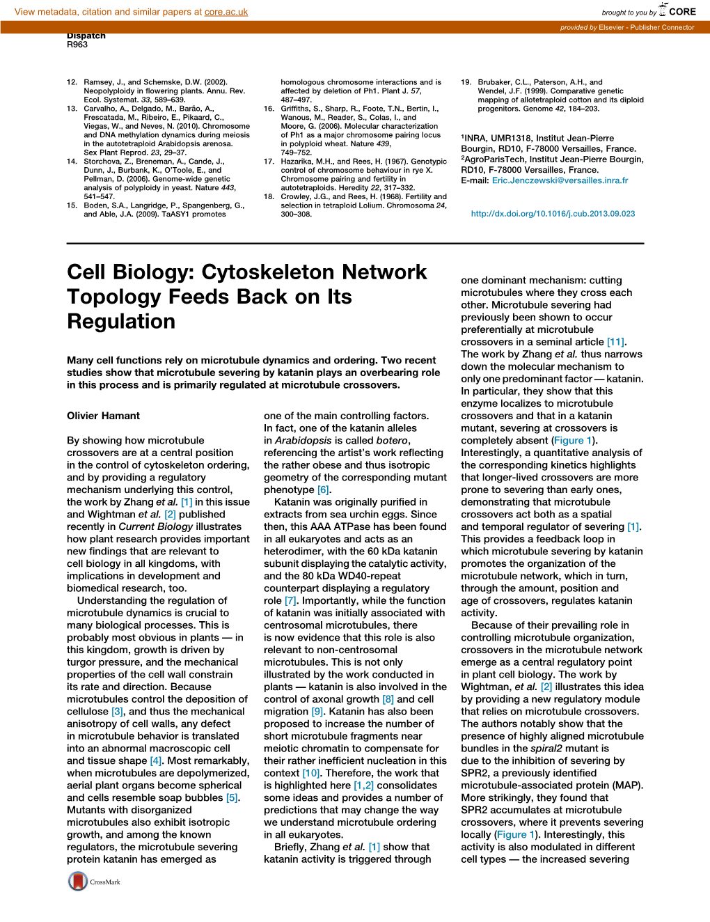 Cell Biology: Cytoskeleton Network One Dominant Mechanism: Cutting Microtubules Where They Cross Each Topology Feeds Back on Its Other