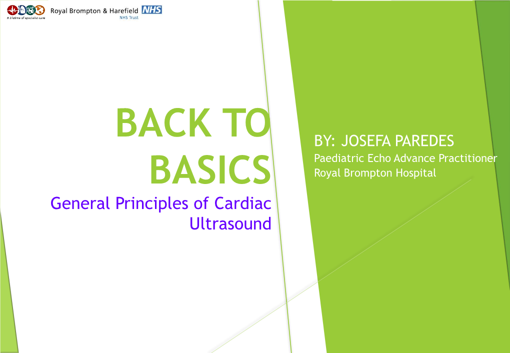 BACK to BASICS General Principles of Echocardiography Ultrasound