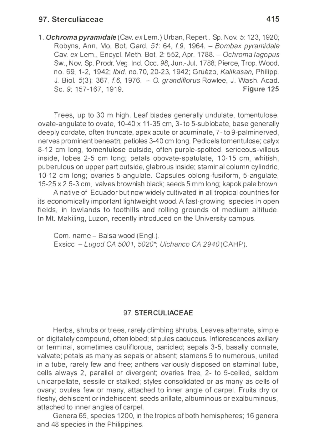 97. Sterculiaceae 415