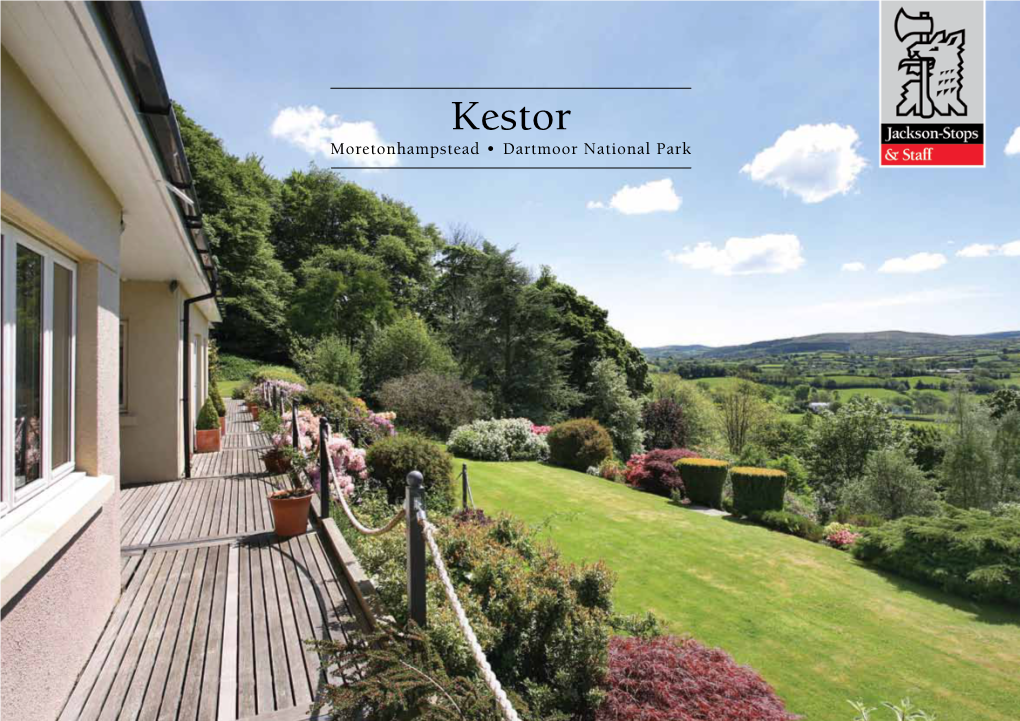 Kestor Moretonhampstead • Dartmoor National Park