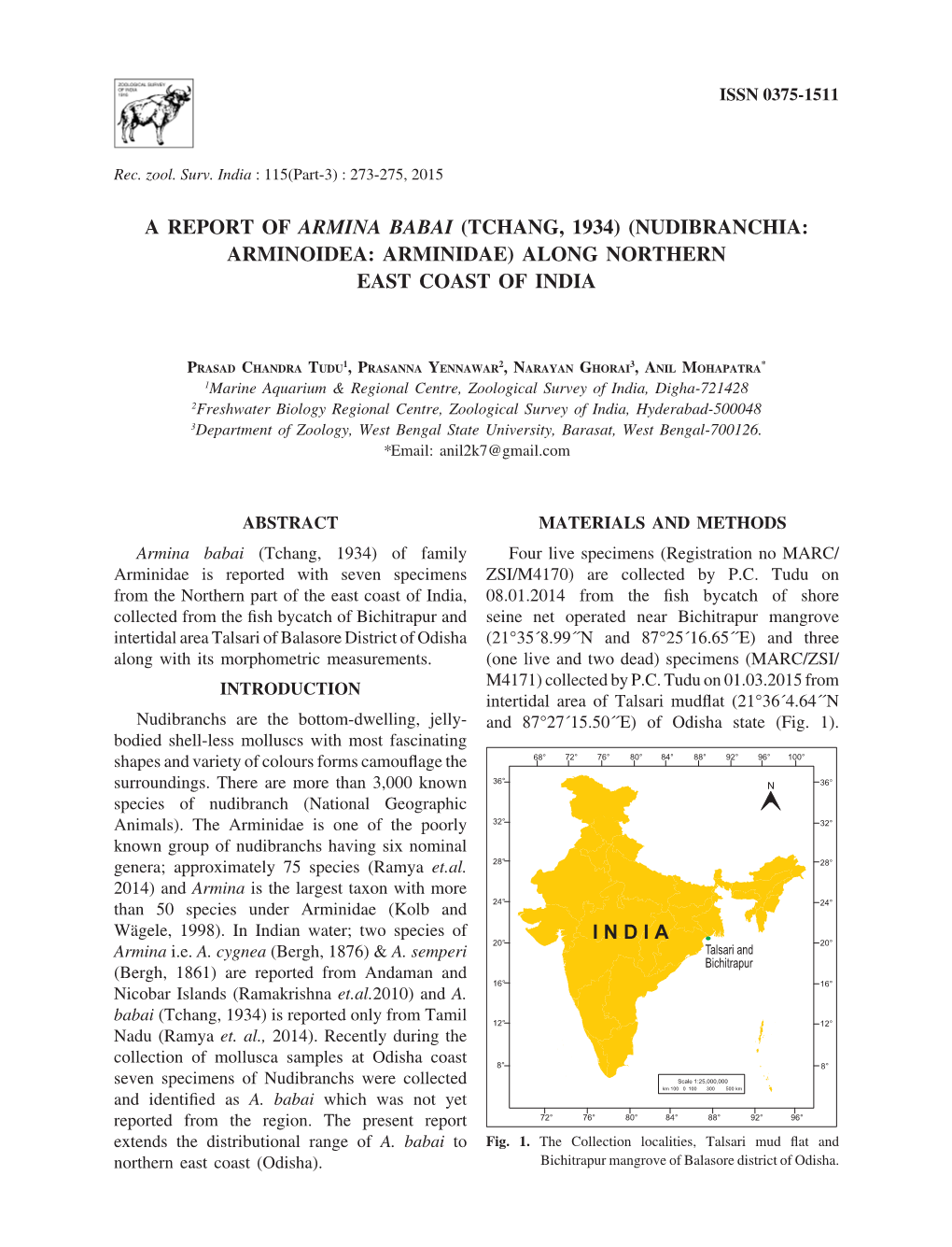 A Report of Armina Babai (Tchang, 1934) (Nudibranchia: Arminoidea: Arminidae) Along Northern East Coast of India