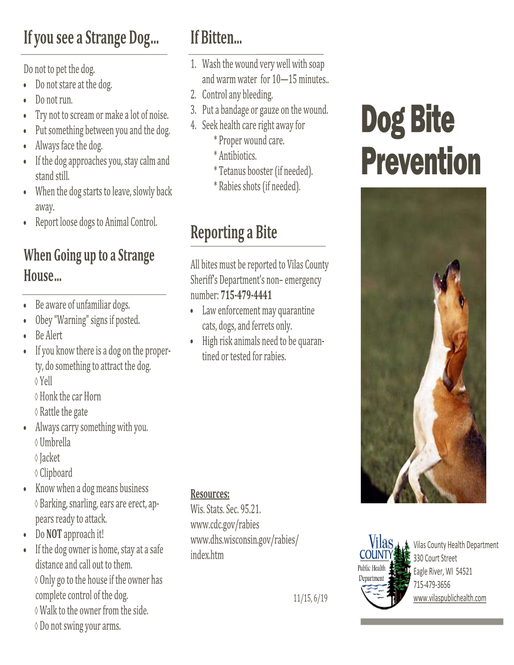 Dog Bite Prevention