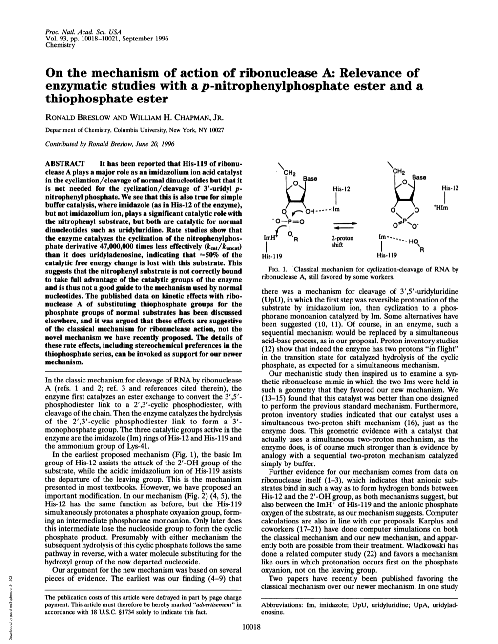 On the Mechanism of Action of Ribonuclease A: Relevance Of