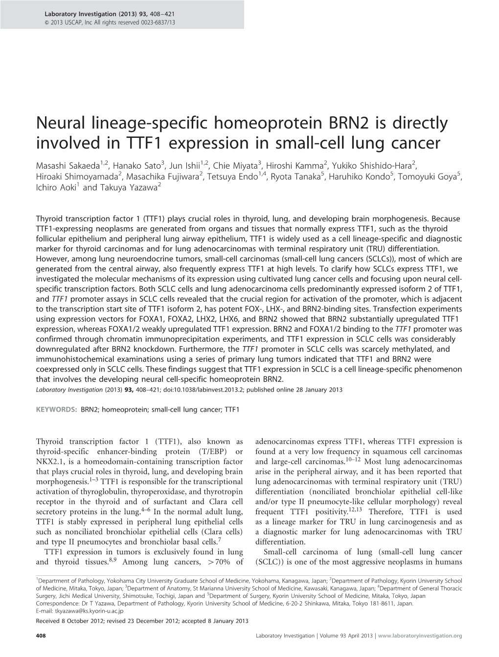Neural Lineage-Specific Homeoprotein BRN2 Is Directly Involved in TTF1