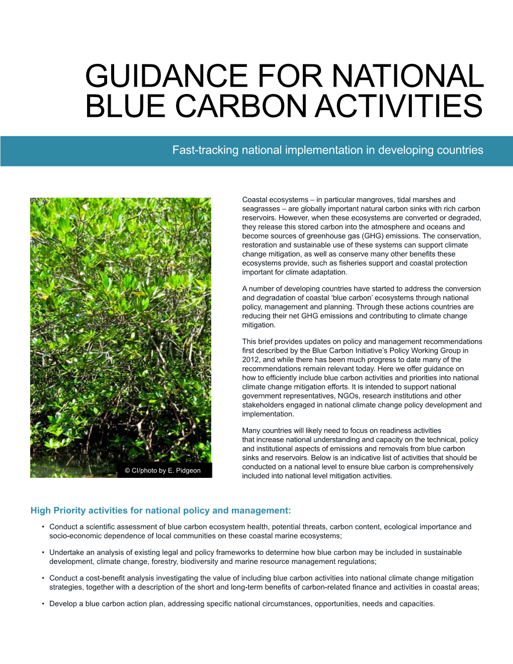 Guidance for National Blue Carbon Activities