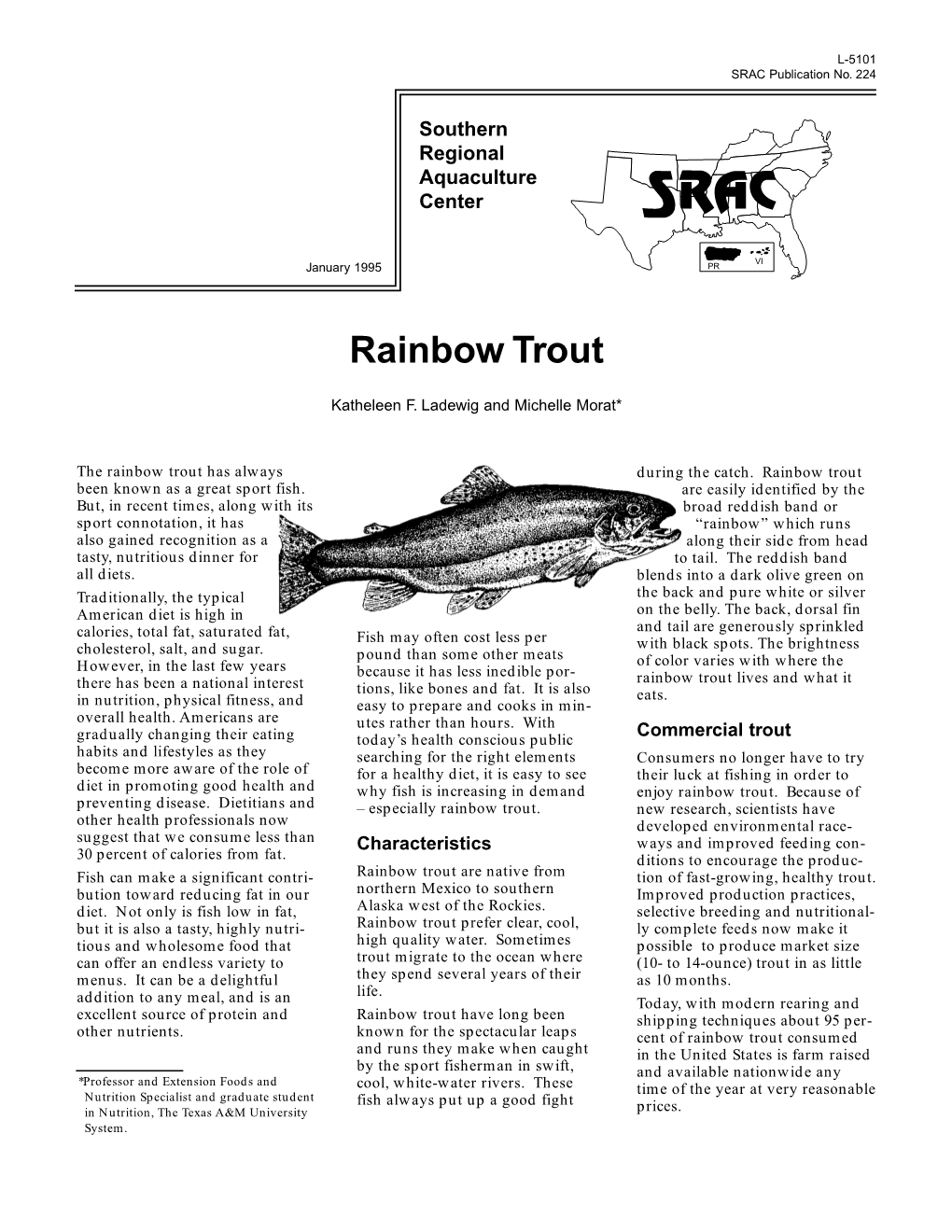 Rainbow Trout