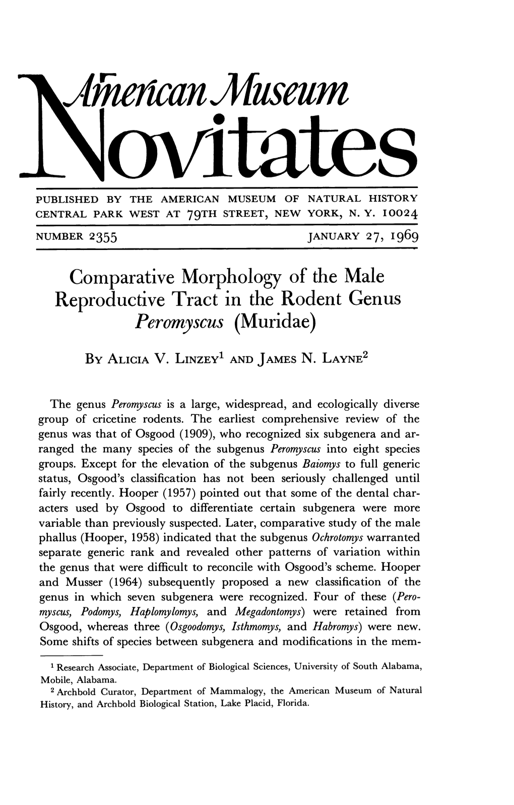 Ie Iican Mllsdum Comparative Morphology of the Male