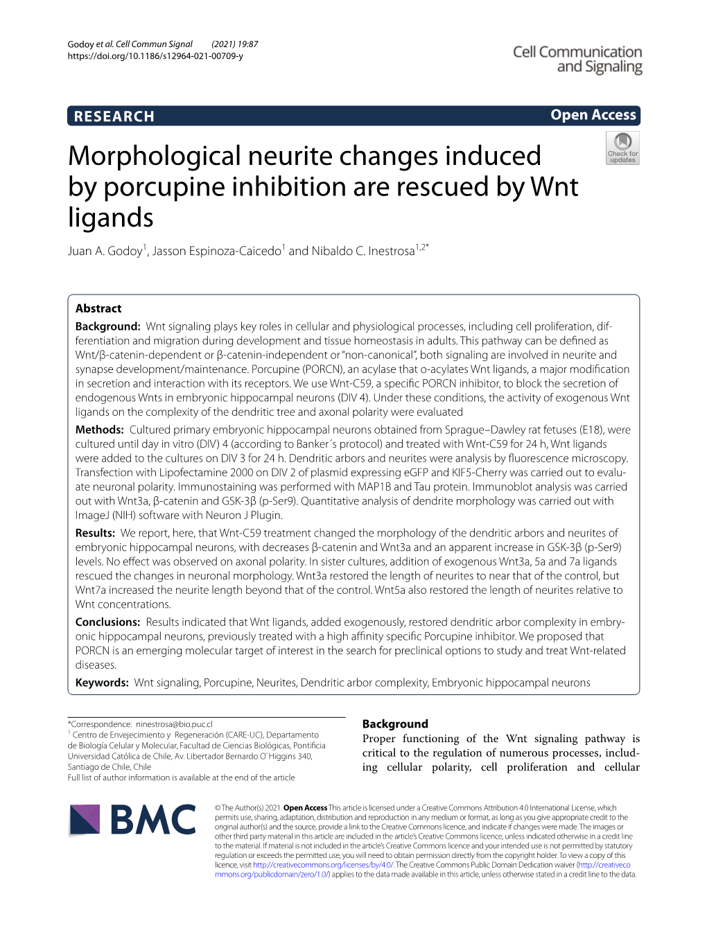 Morphological Neurite Changes Induced by Porcupine Inhibition Are Rescued by Wnt Ligands Juan A