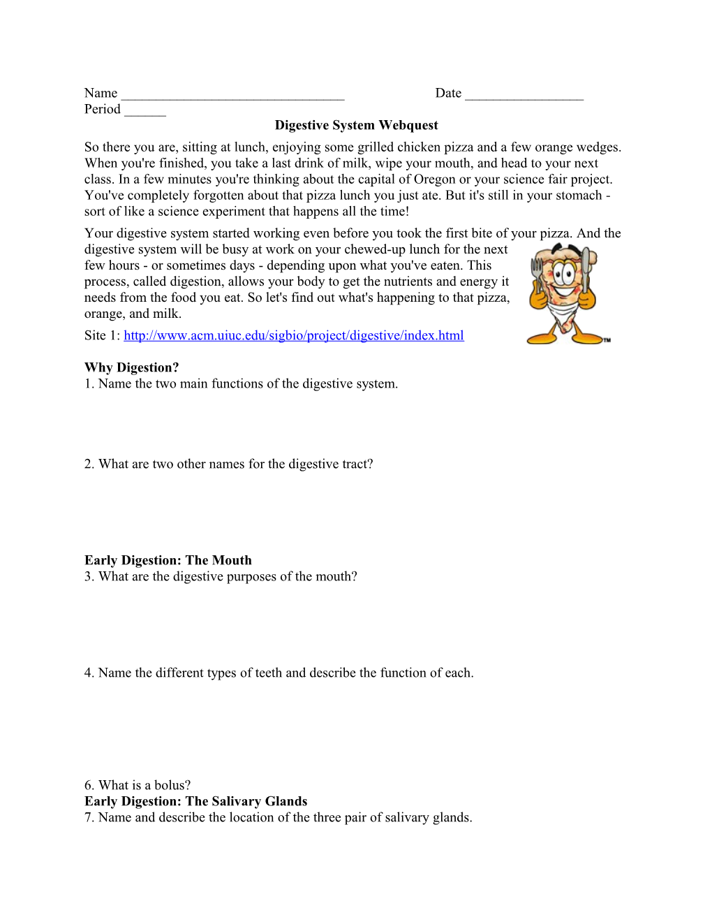 Digestive System Webquest s1