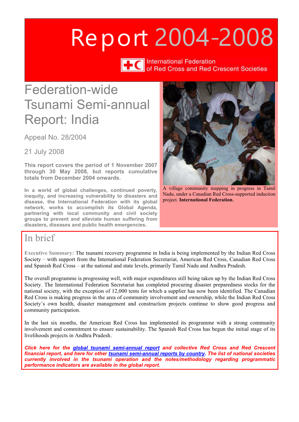 Federation-Wide Semi-Annual Report 2004-2008