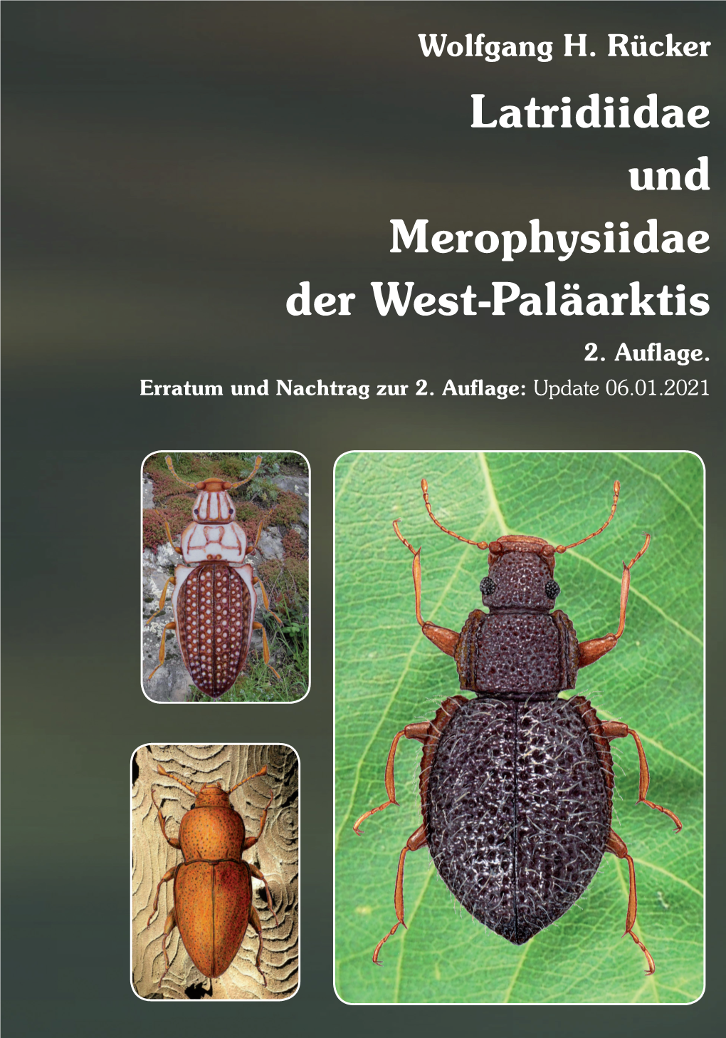 Latridiidae Und Merophysiidae Der West-Paläarktis 2