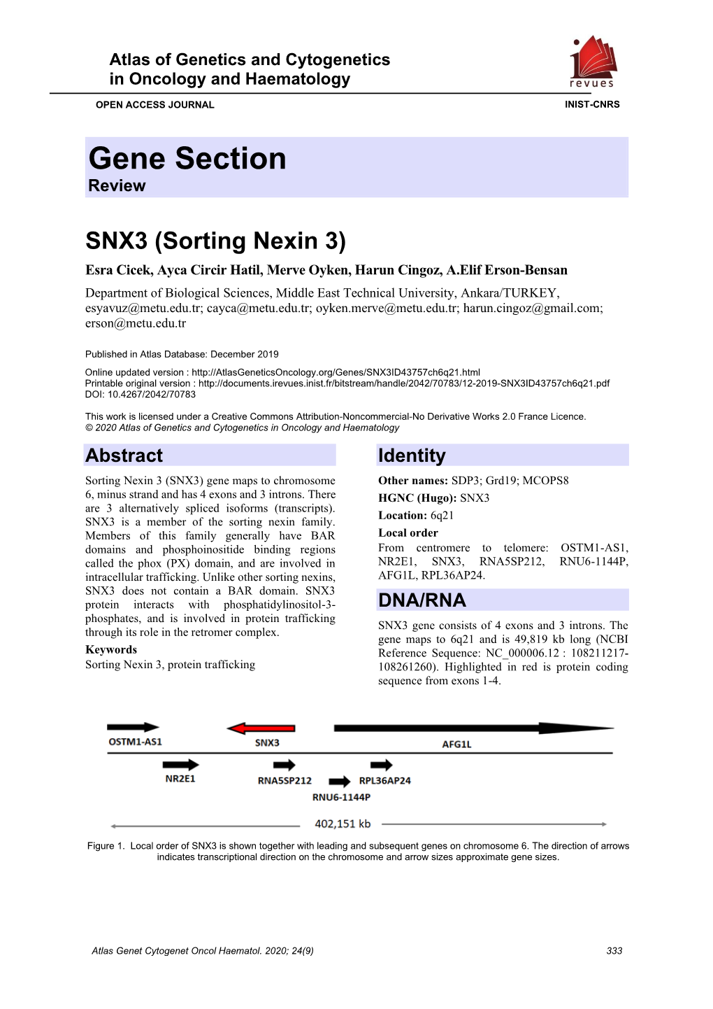 Gene Section Review