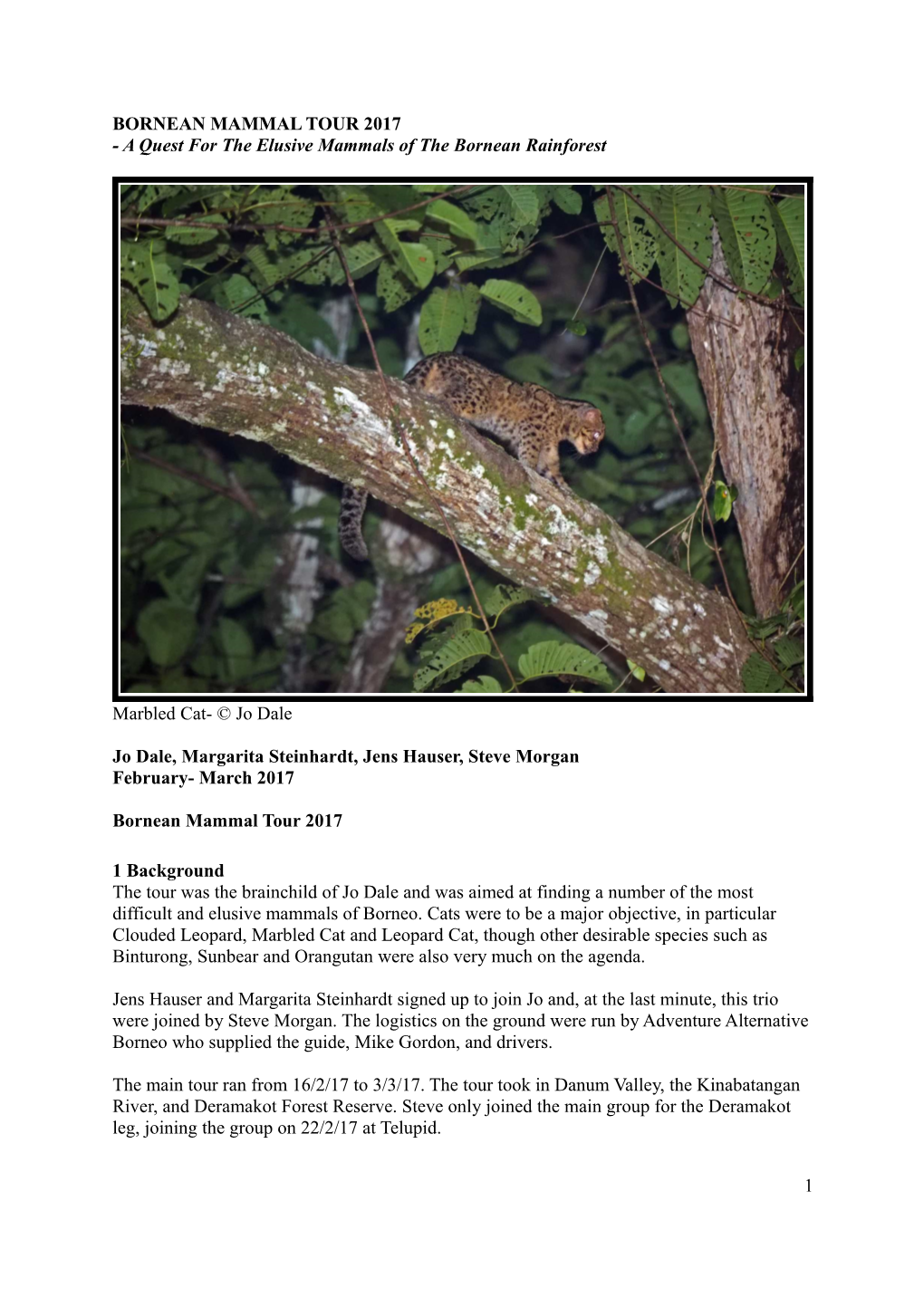 BORNEAN MAMMAL TOUR 2017 - a Quest for the Elusive Mammals of the Bornean Rainforest