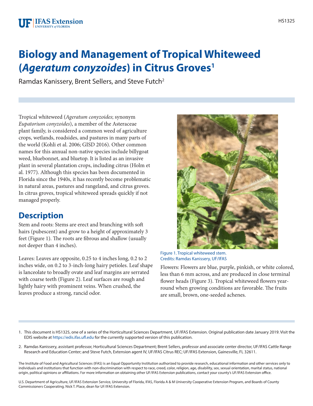 Ageratum Conyzoides) in Citrus Groves1 Ramdas Kanissery, Brent Sellers, and Steve Futch2