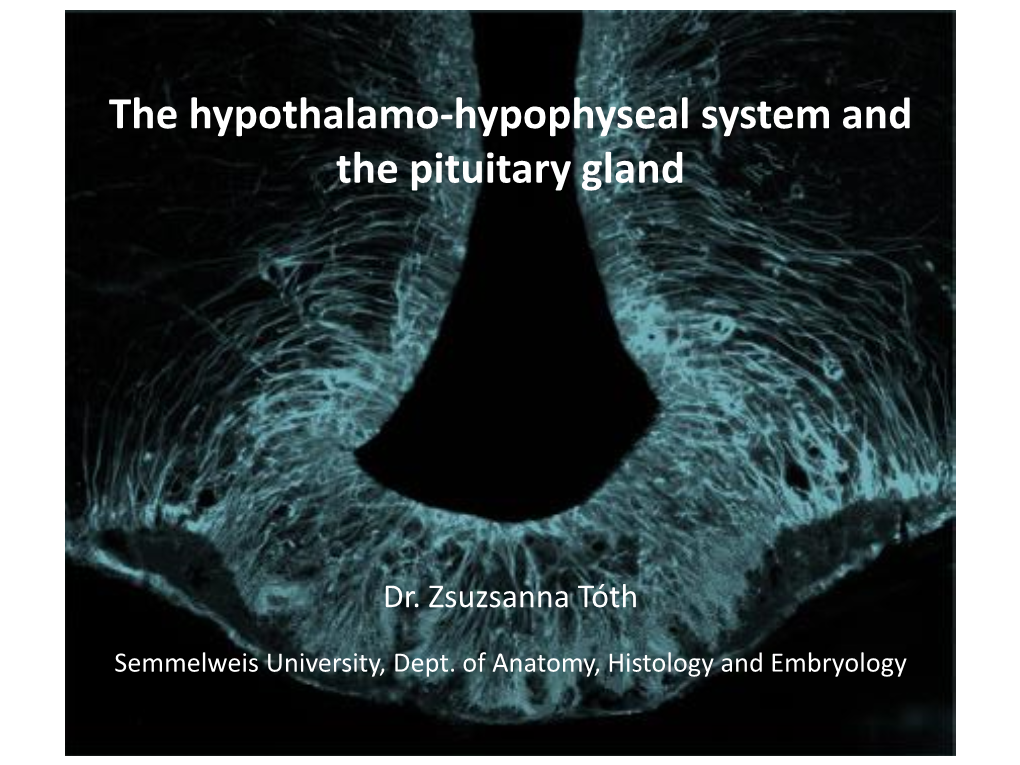 The Hypothalamo-Hypophyseal System and the Pituitary Gland