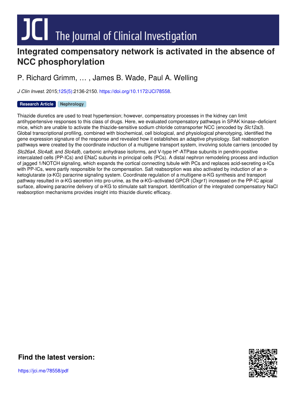 Integrated Compensatory Network Is Activated in the Absence of NCC Phosphorylation