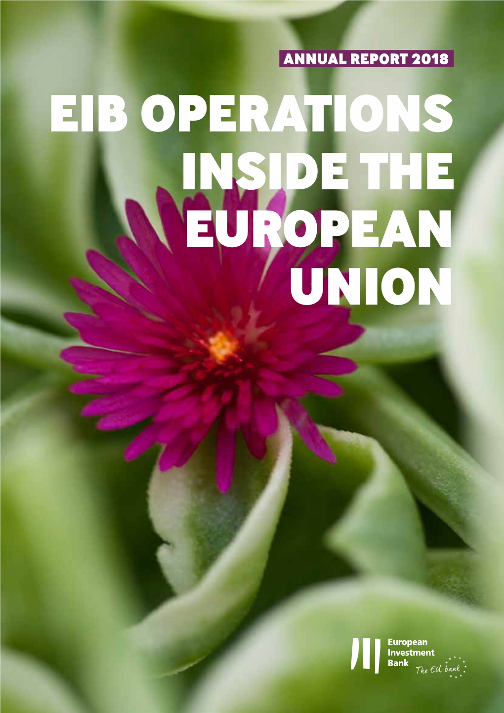 2018 Annual Report on Its Operations Inside the EU