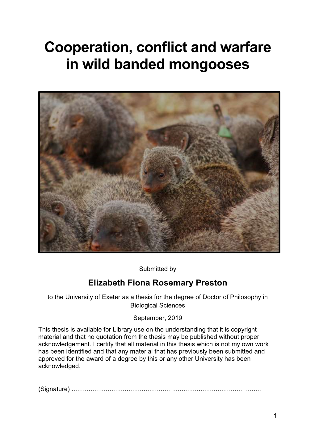 Cooperation, Conflict and Warfare in Wild Banded Mongooses