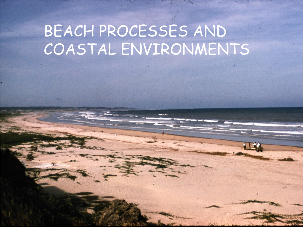 Beach Processes and Coastal Environments