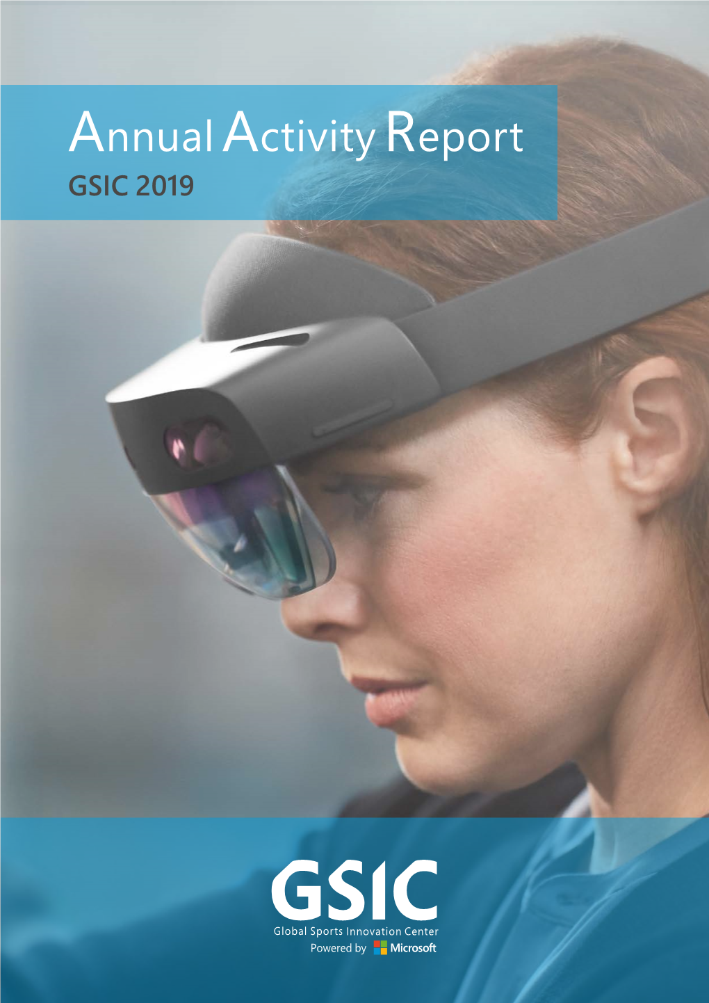 Annual Activity Report GSIC 2019