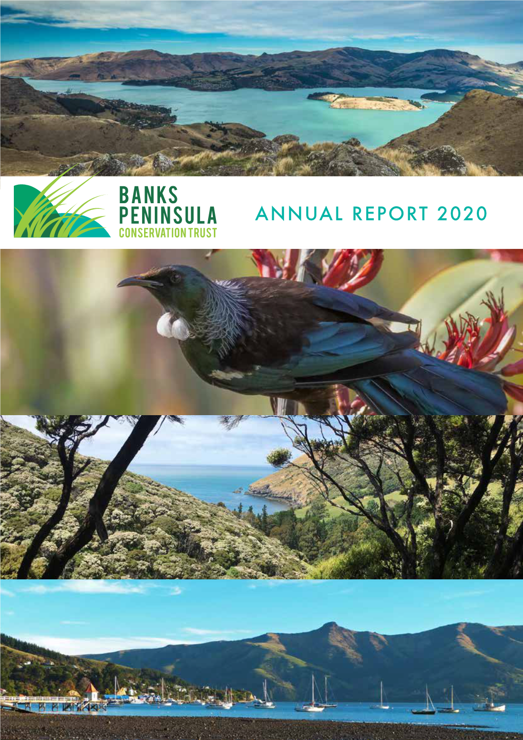 Annual Report 2020