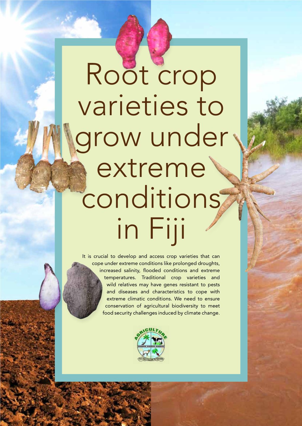 Root Crop Varieties to Grow Under Extreme Conditions in Fiji