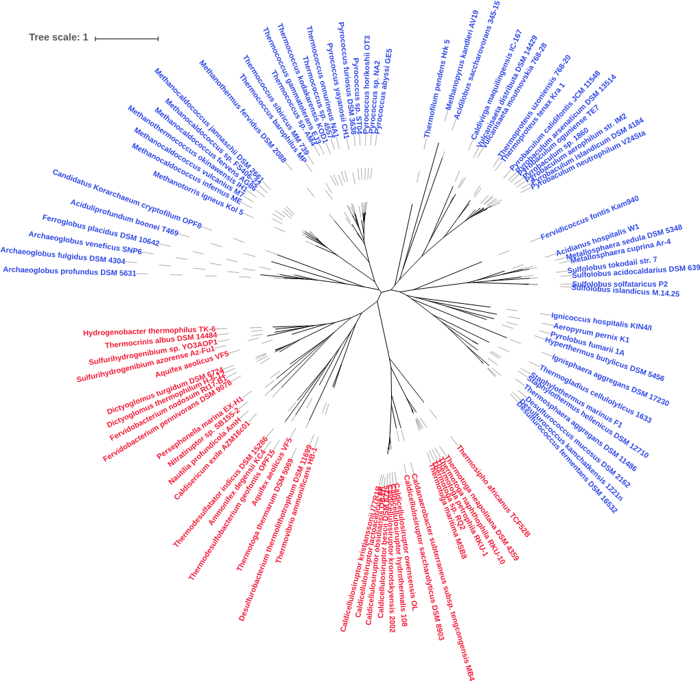 Tree Scale: 1 Ri AV19 Pyrococcus Yayanosi Orans 345-15