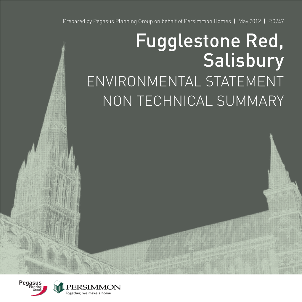 Fugglestone Red, Salisbury ENVIRONMENTAL STATEMENT NON TECHNICAL SUMMARY