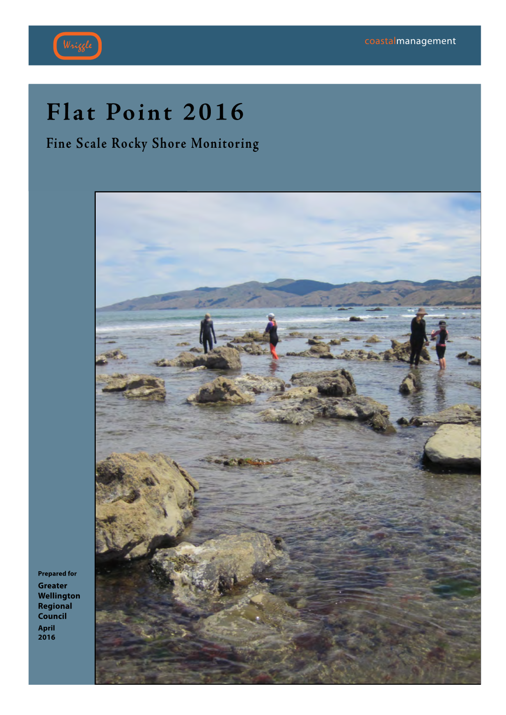 Flat Point 2016 Fine Scale Rocky Shore Monitoring