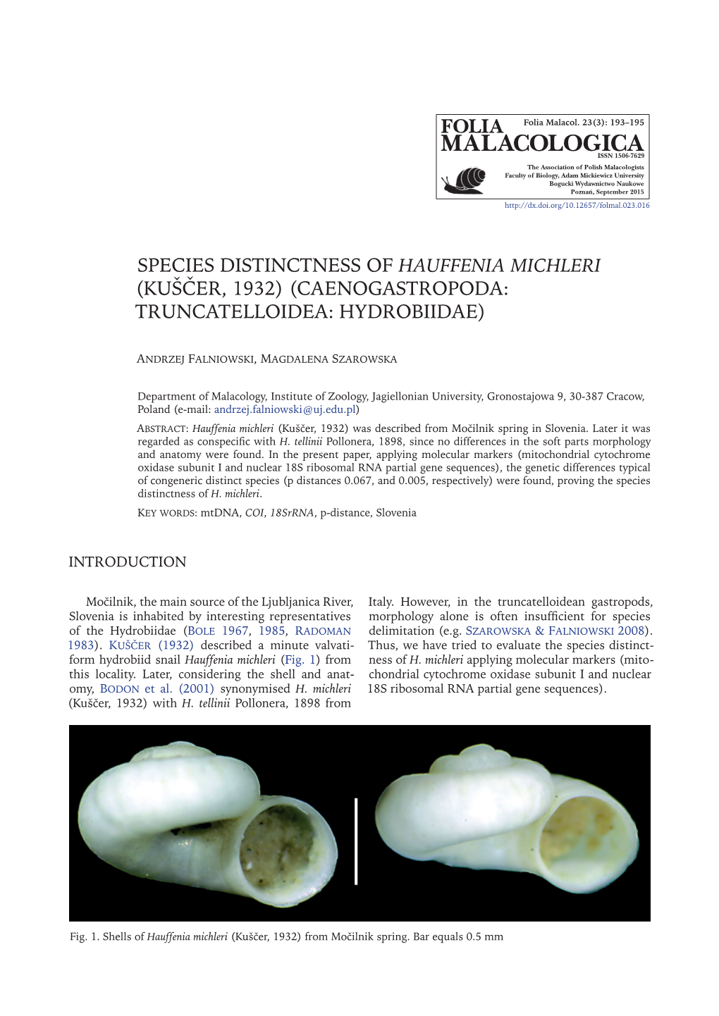 Species Distinctness of Hauffenia Michleri (Kuščer, 1932) (Caenogastropoda: Truncatelloidea: Hydrobiidae)